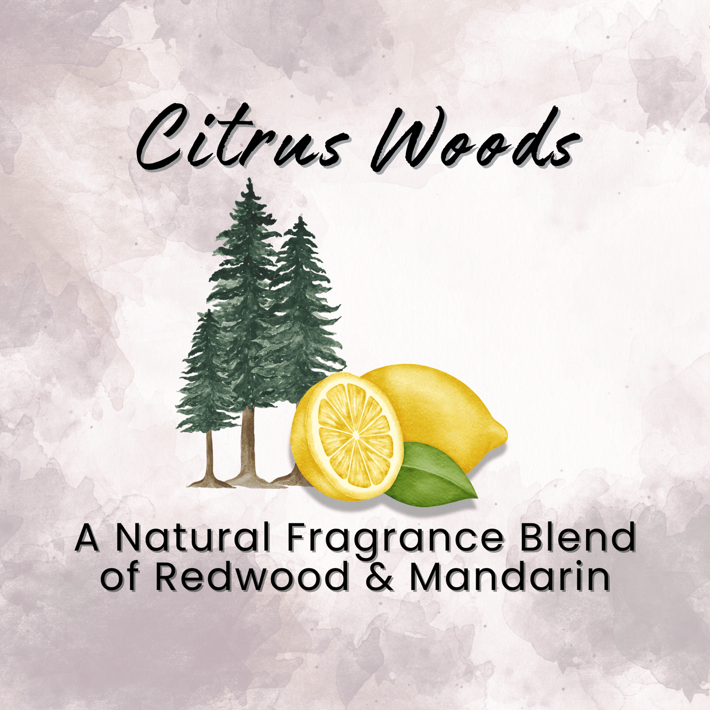 Natural Dry Shampoo Large Powder Sprayer 2.95 oz Non-Aerosol Hair Care