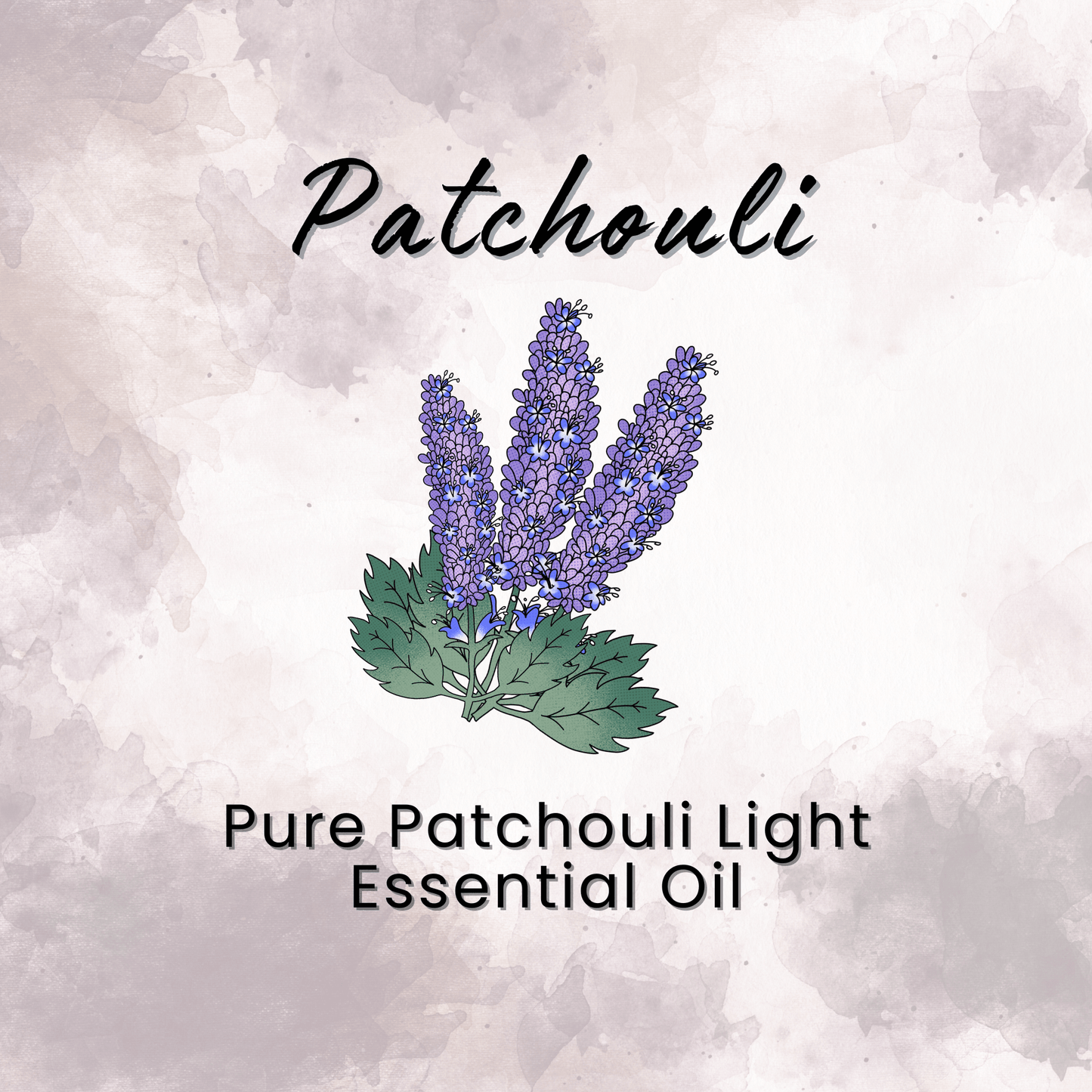 Natural Dry Shampoo Large Powder Sprayer 2.95 oz Non-Aerosol Hair Care