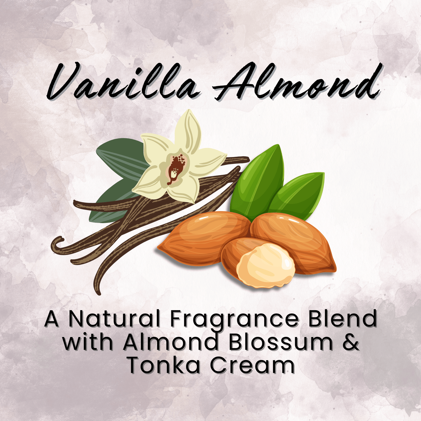 Natural Dry Shampoo Large Powder Sprayer 2.95 oz Non-Aerosol Hair Care