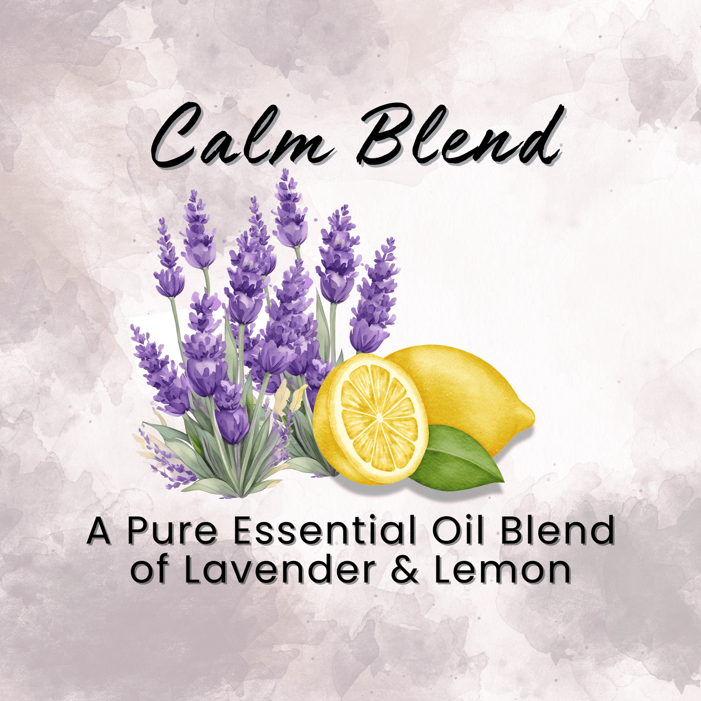 Natural Dry Shampoo Large Powder Sprayer 2.95 oz Non-Aerosol Hair Care