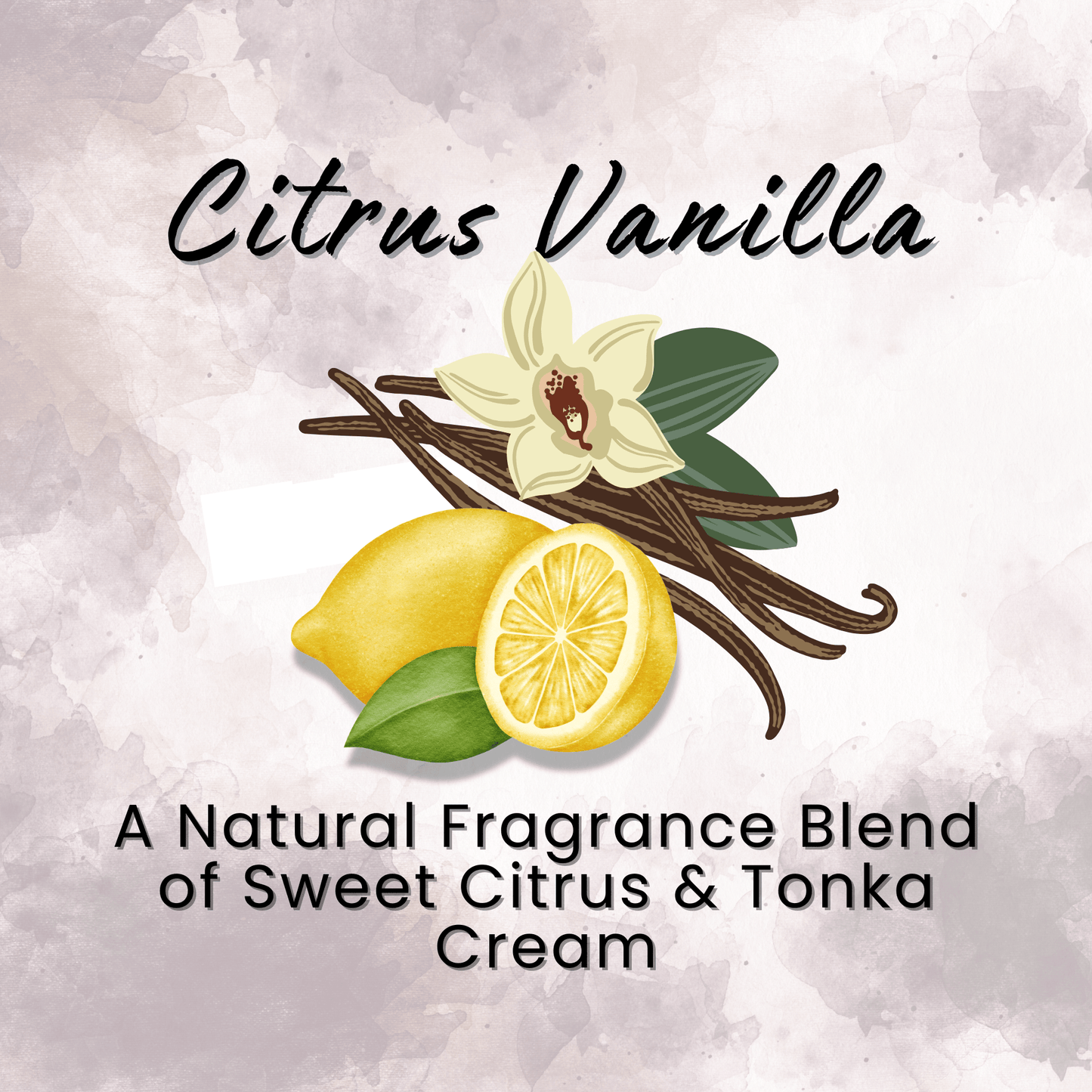 Natural Dry Shampoo Large Powder Sprayer 2.95 oz Non-Aerosol Hair Care