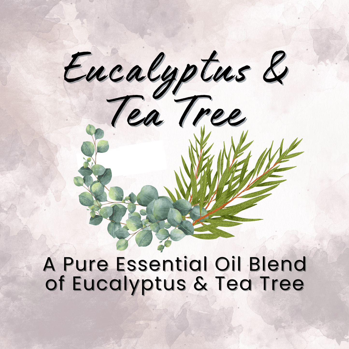 Natural Dry Shampoo Large Powder Sprayer 2.95 oz Non-Aerosol Hair Care