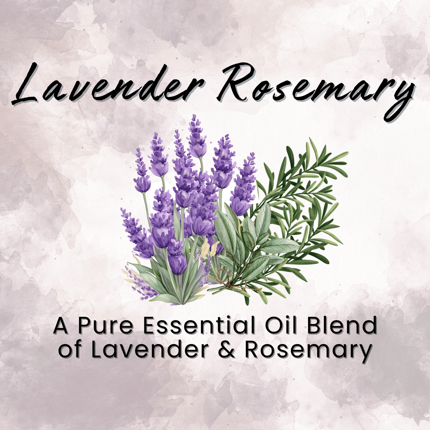 Natural Dry Shampoo Large Powder Sprayer 2.95 oz Non-Aerosol Hair Care